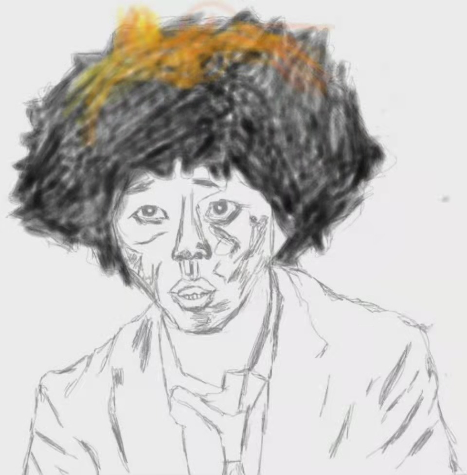 _static\painting\爆炸头.jpg
